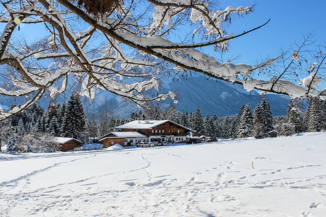 東北凜冬之美，雪冷空氣的獨特體驗